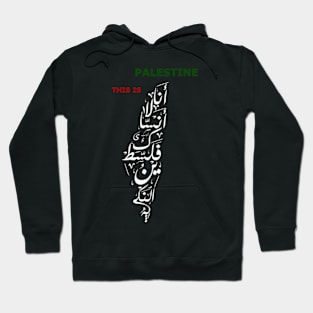 This is Palestine Hoodie